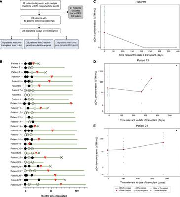 Assessment of Molecular Residual Disease Using Circulating Tumor DNA to Identify Multiple Myeloma Patients at High Risk of Relapse